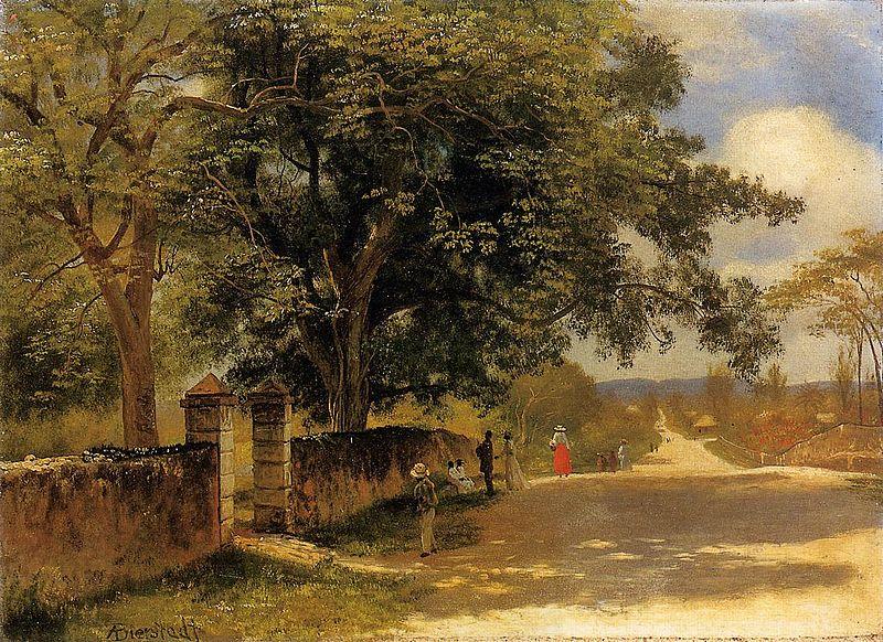 Albert Bierstadt Street in Nassau China oil painting art